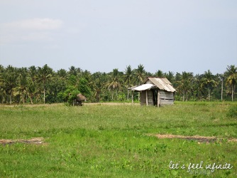 Ubud - Near Anulekha
