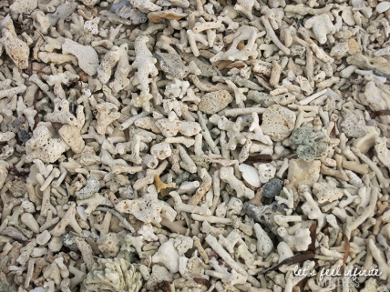 Plage de coraux sur l'île de Gili Air